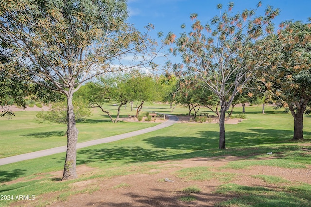 surrounding community featuring a lawn