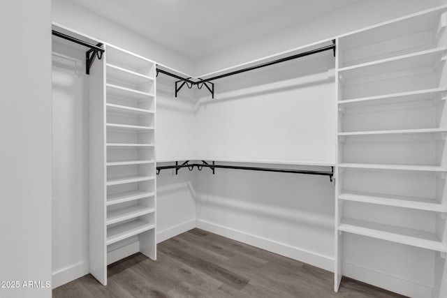 spacious closet featuring hardwood / wood-style floors