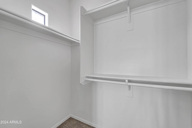 spacious closet featuring carpet