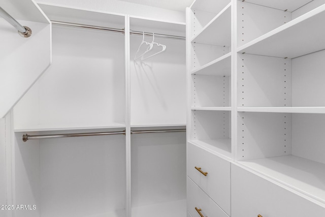 3150 E Beardsley Rd Unit 1081, Phoenix, AZ 85050 - view of walk in closet