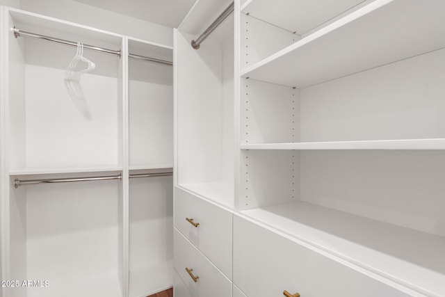 3150 E Beardsley Rd Unit 1081, Phoenix, AZ 85050 - view of spacious closet