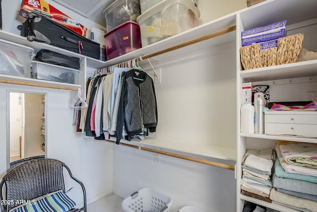 view of spacious closet