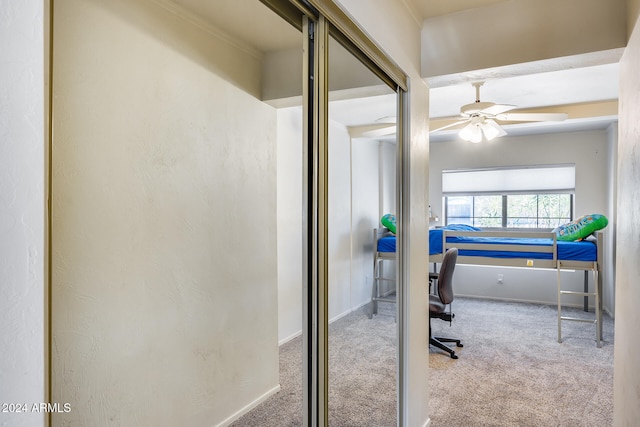 interior space featuring carpet floors and ceiling fan