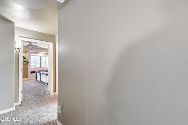 hallway with carpet floors