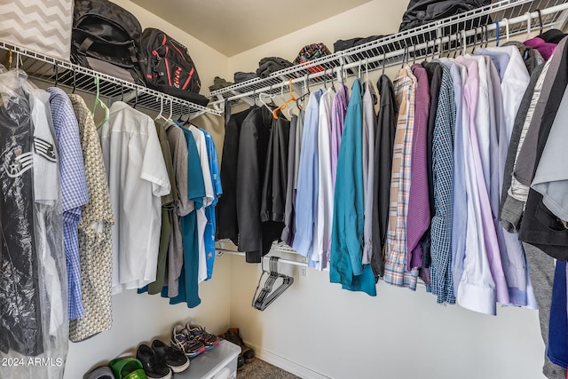 view of spacious closet