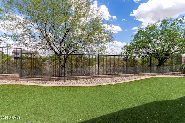 29751 N 119th Ln, Peoria, AZ 85383 - view of yard