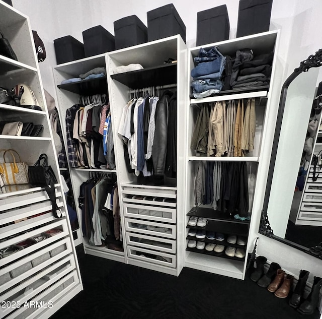 view of closet
