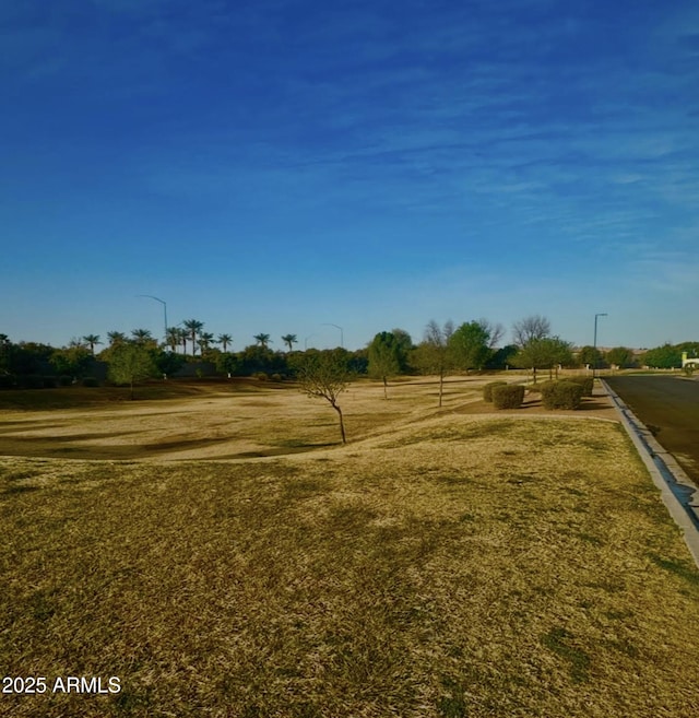 view of yard featuring a rural view