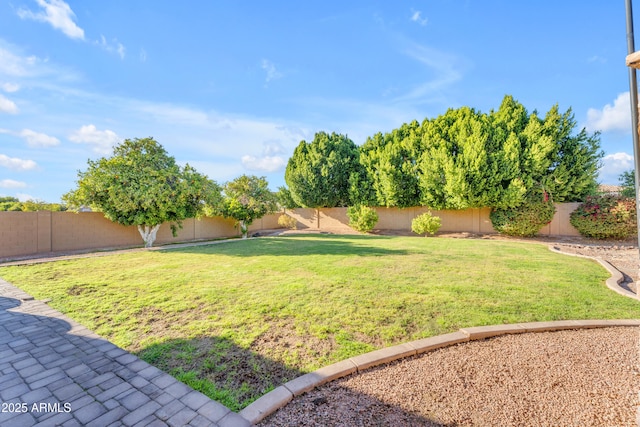 view of yard with a fenced backyard