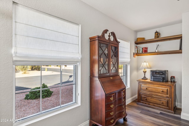 room details featuring hardwood / wood-style floors