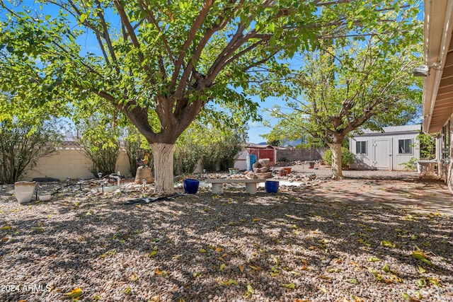 view of yard with an outdoor structure