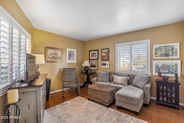 living room featuring hardwood / wood-style floors