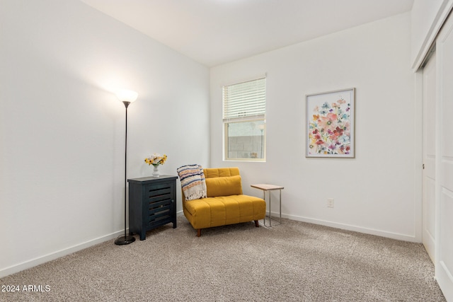 sitting room featuring carpet