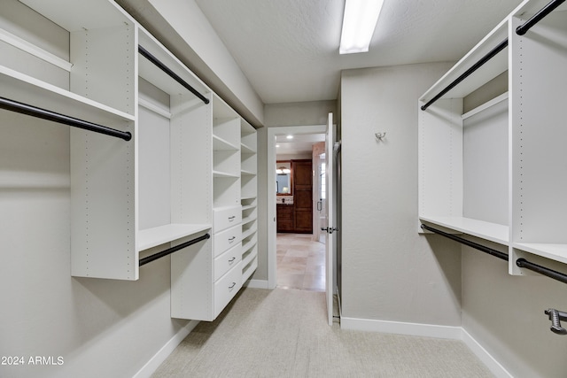 walk in closet with light carpet