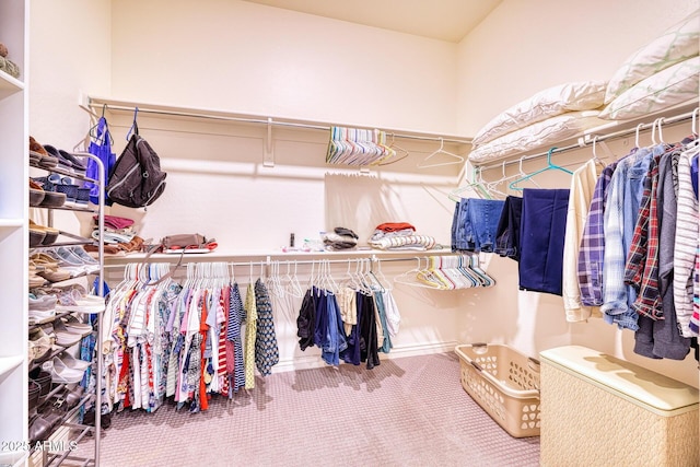 spacious closet with carpet