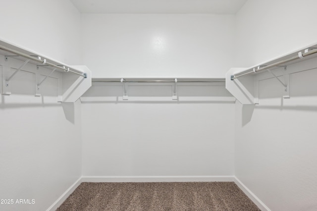 12473 E Bahia Ct, Florence, AZ 85132 - walk in closet with carpet floors