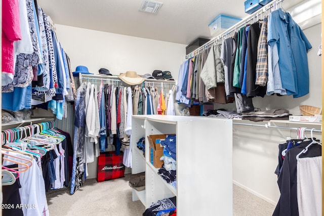 spacious closet with light colored carpet