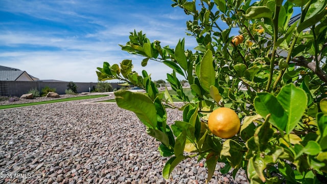 25228 S Star Dr, Queen Creek, AZ 85142 - exterior space with fence