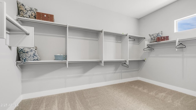 25228 S Star Dr, Queen Creek, AZ 85142 - walk in closet with carpet floors