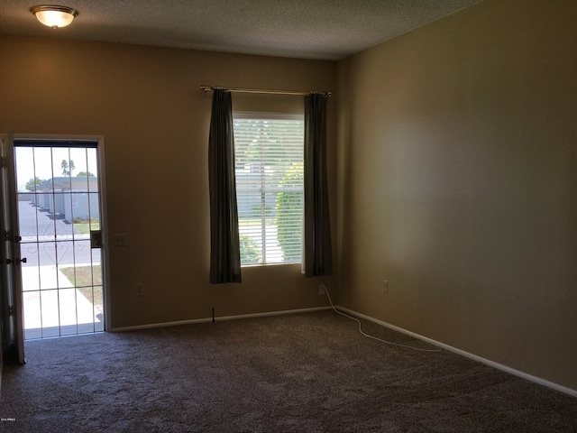 spare room featuring carpet, plenty of natural light, and a textured ceiling