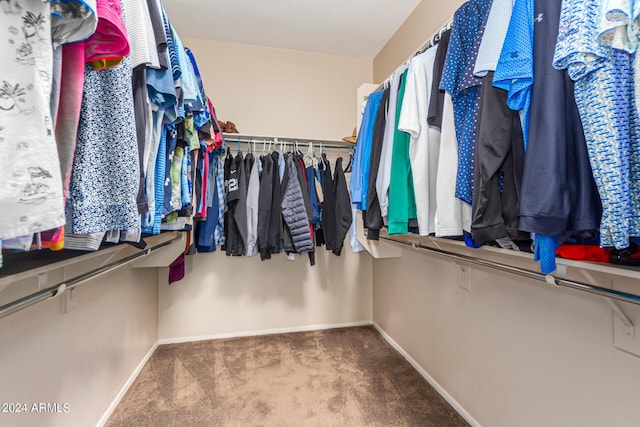 10902 E Silver Mine Rd, Gold Canyon, AZ 85118 - spacious closet with carpet flooring