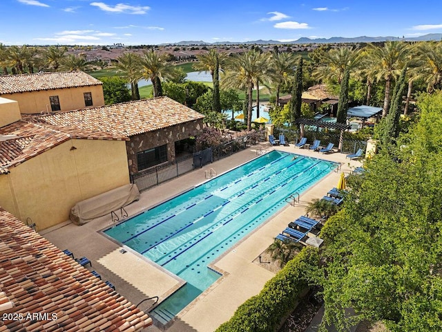175 E Santa Lucia Ln, Queen Creek, AZ 85140 - community pool with a patio and fence