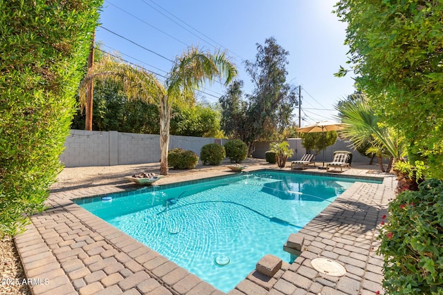 view of swimming pool featuring a patio area