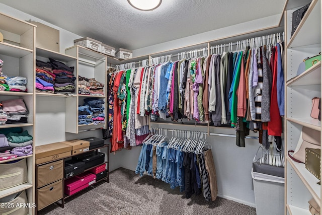 1231 W Mediterranean Dr, Gilbert, AZ 85233 - walk in closet featuring carpet flooring