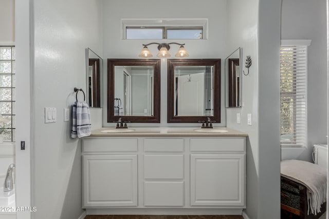 bathroom featuring vanity and plenty of natural light