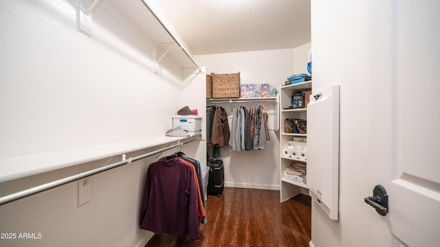 walk in closet with wood finished floors