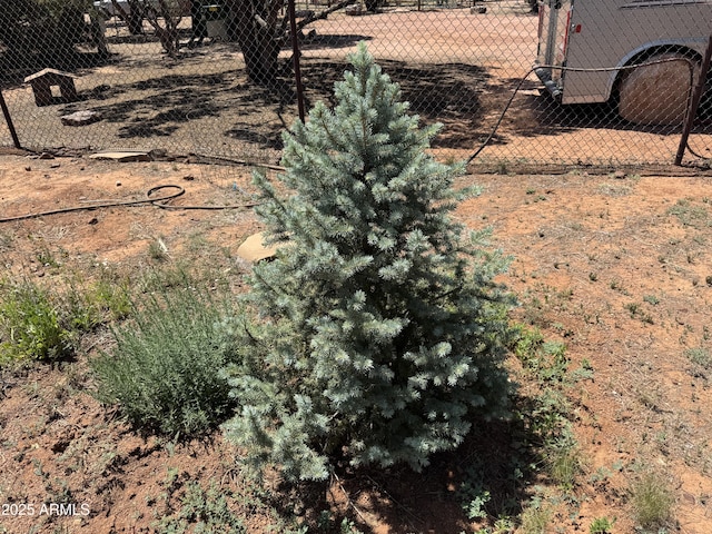 2404 W Palmer Dr, Payson, AZ 85541 - view of yard