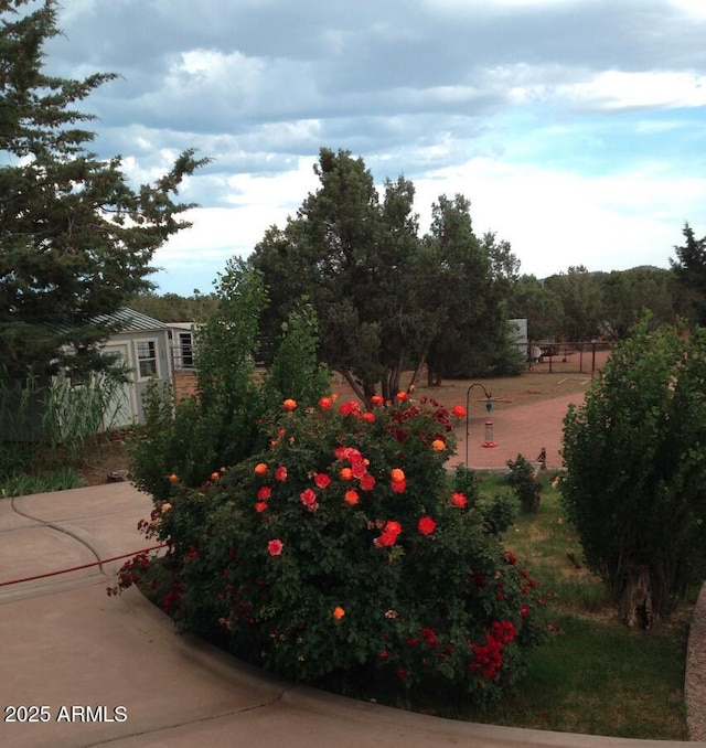 2404 W Palmer Dr, Payson, AZ 85541 - view of yard