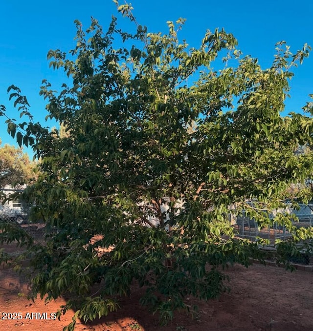 2404 W Palmer Dr, Payson, AZ 85541 - view of yard