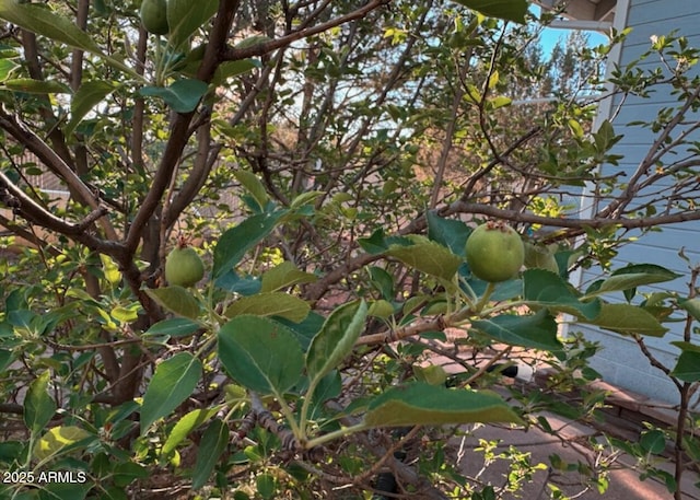 2404 W Palmer Dr, Payson, AZ 85541 - view of nature