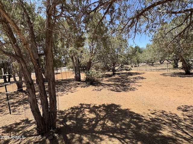 2404 W Palmer Dr, Payson, AZ 85541 - view of yard