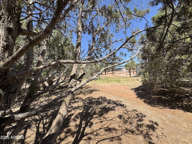 2404 W Palmer Dr, Payson, AZ 85541 - view of yard