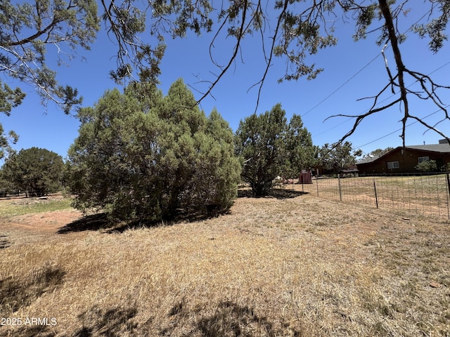 2404 W Palmer Dr, Payson, AZ 85541 - view of yard