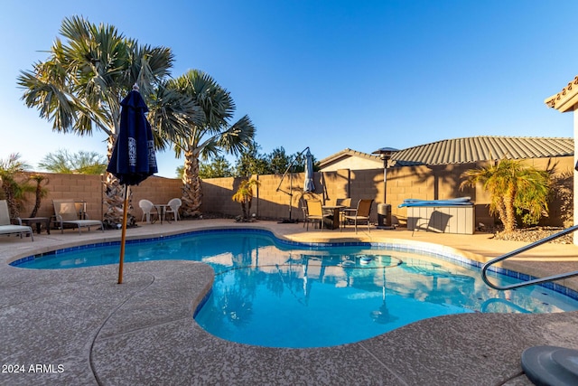 view of swimming pool with a patio