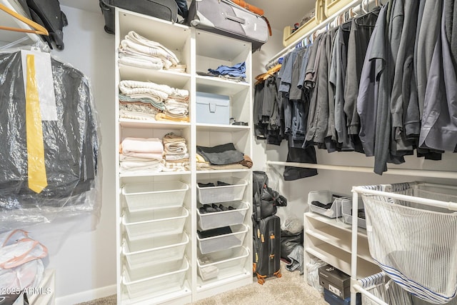 spacious closet with carpet flooring