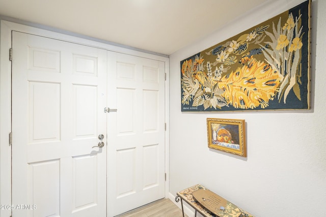 foyer with light wood finished floors