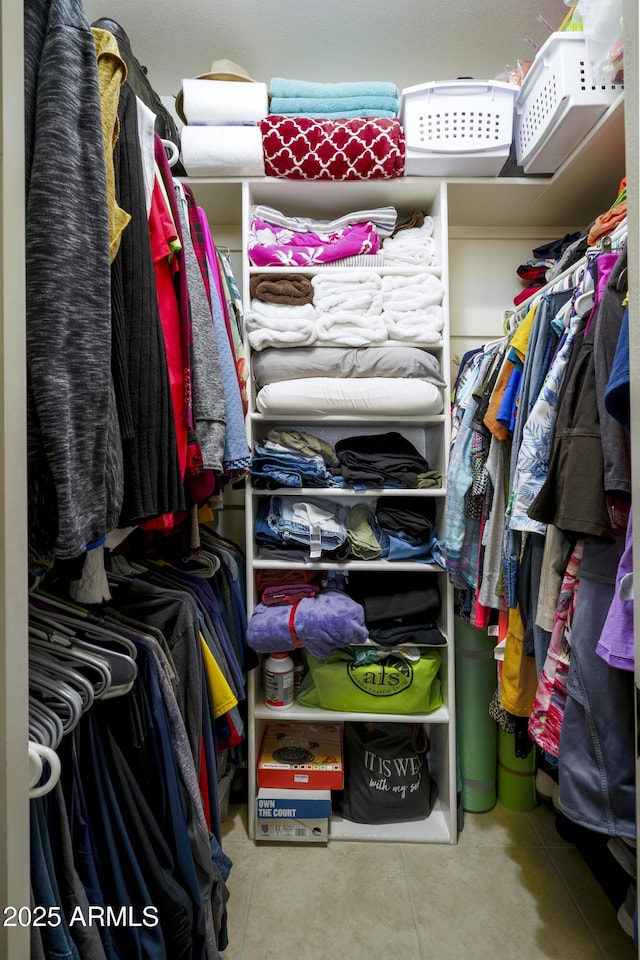 view of walk in closet