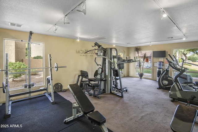 workout area featuring a textured ceiling, carpet flooring, and rail lighting