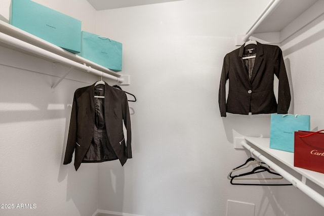 view of spacious closet