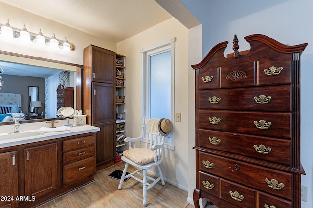 bathroom with vanity and wood-type flooring