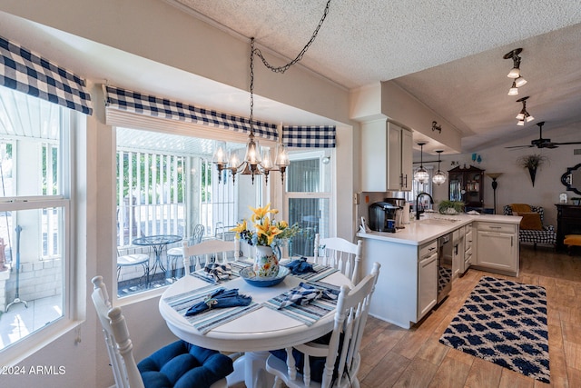 dining space with a textured ceiling, sink, ceiling fan with notable chandelier, and light wood-type flooring