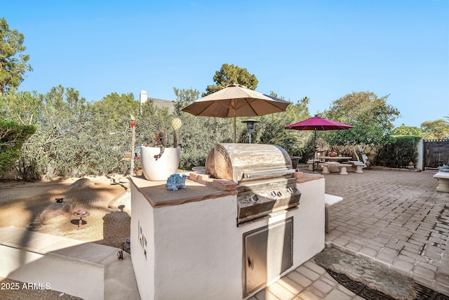 view of patio / terrace with area for grilling and grilling area