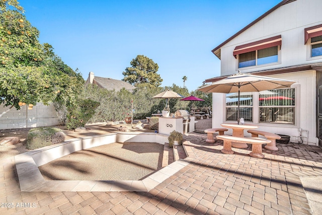 view of patio featuring an outdoor kitchen