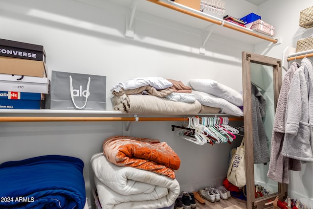 spacious closet with hardwood / wood-style flooring