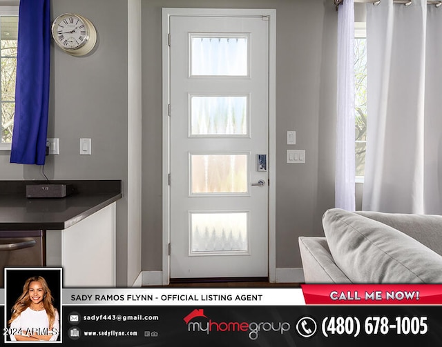 entryway featuring plenty of natural light