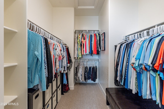 walk in closet with carpet flooring